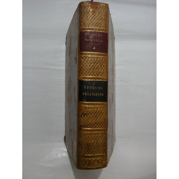   HISTOIRE  NATURELLE, GENERALE  ET  PARTICULIERE *  DES  POISSONS (pestii) * tome second - C. S. SONNINI - Paris - 